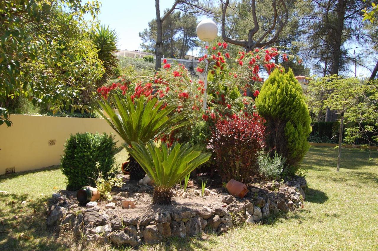 Wonderful Villa, Heated Pool, Near Beautiful Town Alboy Εξωτερικό φωτογραφία